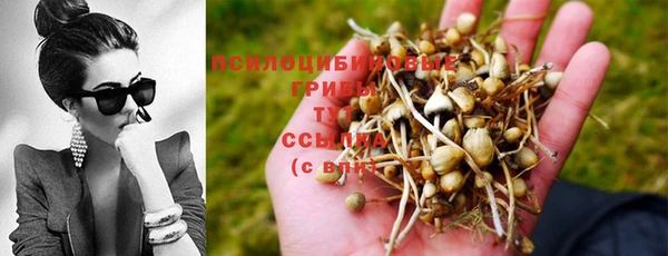 каннабис Алзамай