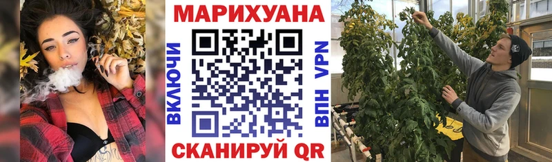 Бошки Шишки конопля  как найти   Бабушкин 